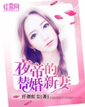 夜帝的替婚新妻