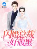 言浅西岳临澜