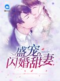盛宠闪婚甜妻夜岂陌