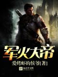 军火大帝