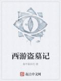 西游盗墓记