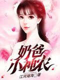 奶爸小神农小说