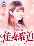 携宝归来：佳妻难追沈延风