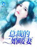 总裁的二婚暖妻帝萧秦
