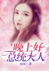 晚上好，总统大人