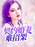 契约婚妻难招架顾稀
