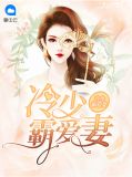 冷少霸宠妻txt