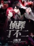 侦探丁不二