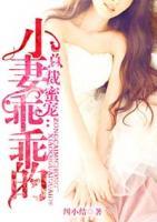 总裁蜜宠:小妻乖乖的