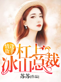 杠上冰山总裁：情逢敌手