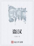 盗汉