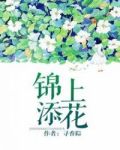 锦上添花