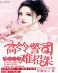 欢宠99次：高冷警司难招架