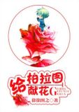 给柏拉图献花