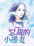 一宠成瘾：总裁的小逃妻苏安浅