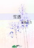 雪遇