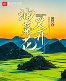 油菜花又开
