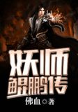 妖师鲲鹏传