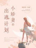 小娇妻的出逃计划