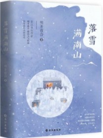落雪满南山