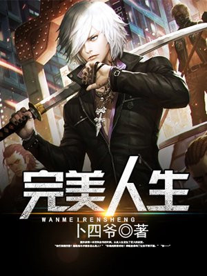 完美人生
