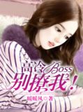 高冷boss别撩我