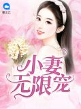 小妻无限宠靳北骁