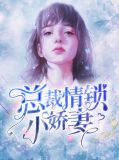 总裁情锁小娇妻于小鱼皇甫冀
