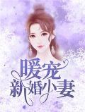 小说暖心宠婚