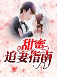 甜蜜追妻指南