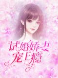 小说试婚老公
