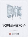 大明最强太子