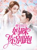 萌宝上门：妈咪你别跑慕洺婳陆承泽