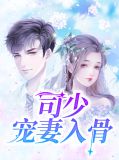 司少宠妻入骨司瑾丞