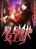 爱上冷艳女上司夏安