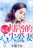 一念情深：陆爷的心尖爱妻