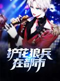 护花奇兵 小说