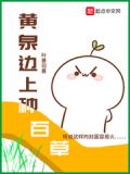 黄泉边上种百草