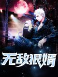 无敌狠婿陈阳柳梦馨