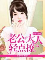 小说老公大人不许动