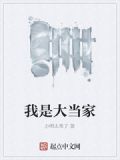 我是大当家