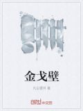 金戈壁