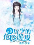 一瘾成婚：厉少的危险游戏