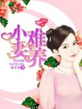 小妻难养