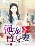 第一豪门：强宠替身妻