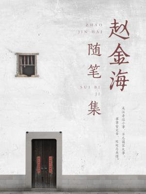 赵金海随笔集