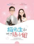 梅先生和陆小姐