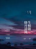 b月清风晓星尘