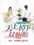 霍少接住，天上掉下双胞胎