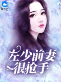 左少前妻很抢手许愿